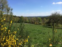 Hunsrueck_03
