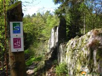 Hunsrueck_04