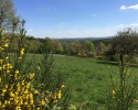 Hunsrueck_03
