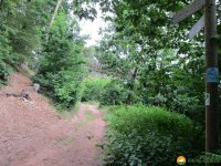 Felsenland-Sagenweg-Etappe1-03
