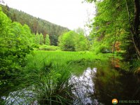 Felsenland-Sagenweg-Etappe1-11