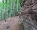 Felsenland-Sagenweg-Etappe2-19