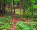 Felsenland-Sagenweg-Etappe2-22