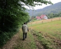 Felsenland-Sagenweg-Etappe2-24