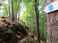 Felsenland-Sagenweg-Etappe3-12