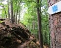 Felsenland-Sagenweg-Etappe3-12