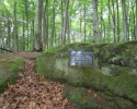 Felsenland-Sagenweg-Etappe3-21