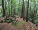 Felsenland-Sagenweg-Etappe3-24
