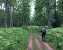 Felsenland-Sagenweg-Etappe3-28