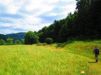 Felsenland-Sagenweg-Etappe4-07