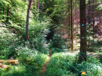 Felsenland-Sagenweg-Etappe4-11