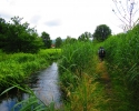 Felsenland-Sagenweg-Etappe4-05