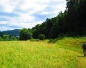 Felsenland-Sagenweg-Etappe4-07