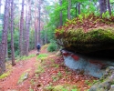 Felsenland-Sagenweg-Etappe4-12