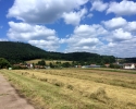 Felsenland-Sagenweg-Etappe4-15