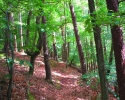 Felsenland-Sagenweg-Etappe4-18
