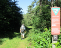 Heidschnuckenweg-Bispingen-Soltau-07