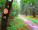 Heidschnuckenweg-Buchholz-Undeloh-08