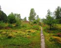 Heidschnuckenweg-Buchholz-Undeloh-09