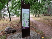 Heidschnuckenweg-Fischbek-Buchholz-01