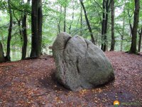 Heidschnuckenweg-Fischbek-Buchholz-12