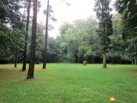 Heidschnuckenweg-Fischbek-Buchholz-17