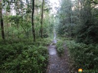 Heidschnuckenweg-Fischbek-Buchholz-19