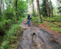 Heidschnuckenweg-Fischbek-Buchholz-10