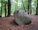 Heidschnuckenweg-Fischbek-Buchholz-12