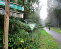 Heidschnuckenweg-Fischbek-Buchholz-16