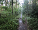Heidschnuckenweg-Fischbek-Buchholz-19