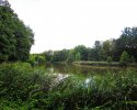 Heidschnuckenweg-Fischbek-Buchholz-18