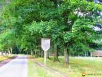 Heidschnuckenweg-Undeloh-Bispingen-06
