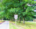 Heidschnuckenweg-Undeloh-Bispingen-06