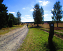 Heidschnuckenweg-Undeloh-Bispingen-12