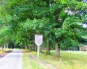 Heidschnuckenweg-Undeloh-Bispingen-06