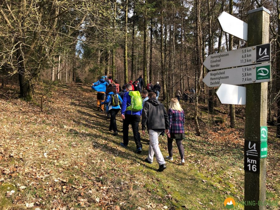 Hiking-Barcamp-2019-Diemelsee-Willingen-16