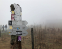 Hiking-Barcamp-2019-Diemelsee-Willingen-05