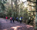 Hiking-Barcamp-2019-Diemelsee-Willingen-14