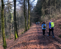 Hiking-Barcamp-2019-Diemelsee-Willingen-15