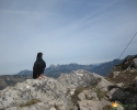 hinteres_sonnwendjoch_14