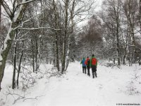 hohes_venn_07