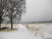 hohes_venn_11