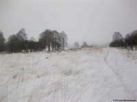hohes_venn_08