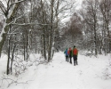 hohes_venn_07