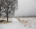 hohes_venn_11