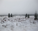 hohes_venn_18