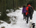 hubertusweg_olpe_12