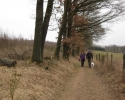 hubertusweg_olpe_20
