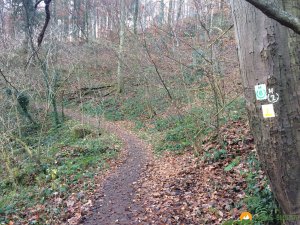 Huegelgrabwanderung-Odenwald-05